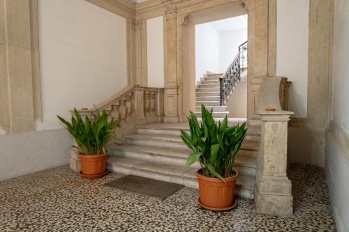 two plants in pots in a hallway with stairs at Palazzo Marini in Spoleto
