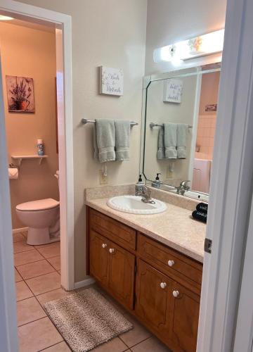 a bathroom with a sink and a toilet and a mirror at Wine’D Up in Fredericksburg