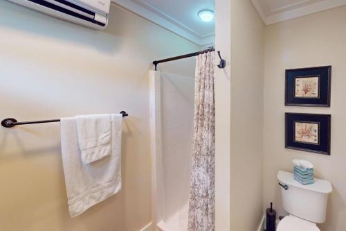 a bathroom with a shower curtain and a toilet at Steps to Riverfront: Dtwn Bluffton Studio! in Bluffton