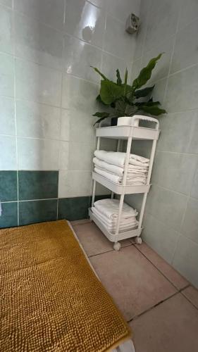 a white towel rack in a bathroom with a plant at Bungalow Marie in Saint-François