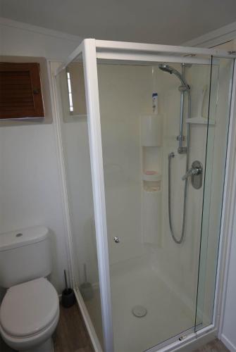a bathroom with a shower and a toilet at One Pigeon Takatu in Tawharanui