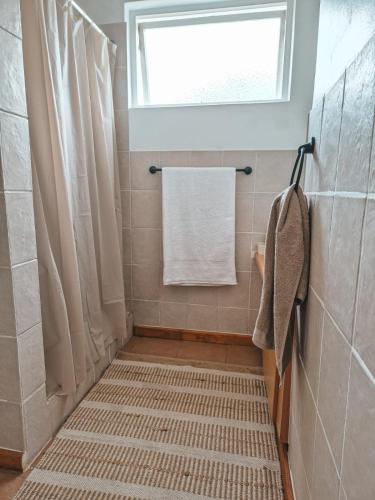 a bathroom with a shower with a window and a rug at Dan en Wan in Agulhas
