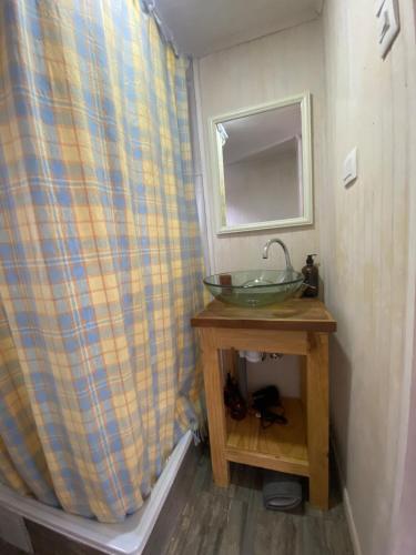 a bathroom with a sink and a shower curtain at Tiny House en Malalcahuello - Tranquilidad total in Malalcahuello
