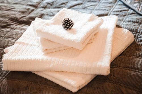 a white towel with a pine cone on top of it at Alpine Green Apartment 2026 in Sondrio