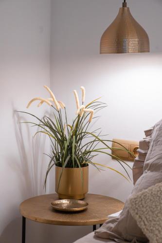 a potted plant on a table next to a bed at Ca l'Eli Loft in Montblanc