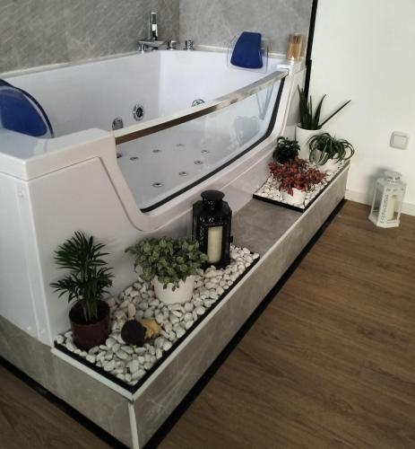 Loft - Céntrico - Jacuzzi - Maquina recreativa