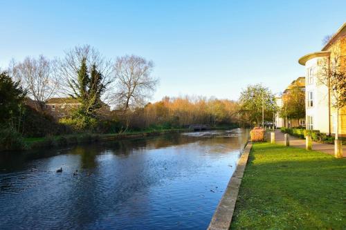 a river with ducks swimming in the water at Luxury 2 bed canal side apartment near Kings Langley station & Warner Brother Studios in Kings Langley