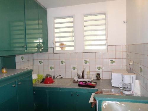 a kitchen with green cabinets and a sink and two windows at Man silly in Port-Louis
