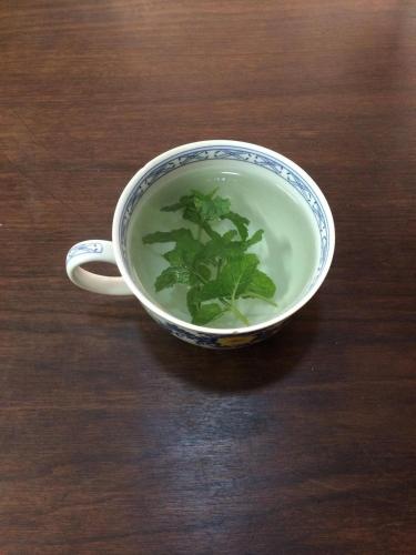 a cup with a plant in it on a table at Pousada do Campo in Ipiabas