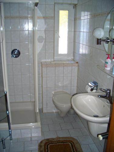 a bathroom with a sink and a toilet and a shower at Ferienhaus Inge in Ilmenau