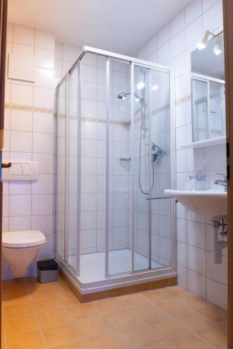 a bathroom with a shower and a toilet at Casa Carinthia in Samnaun