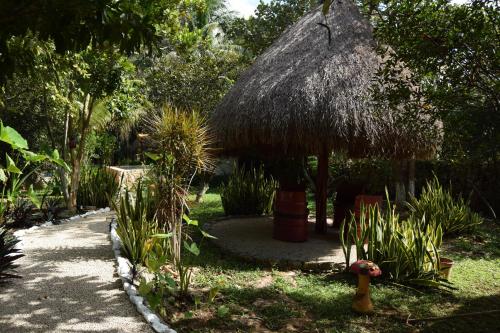 a small hut with a grass roof in a garden at Finca Oz in Homún
