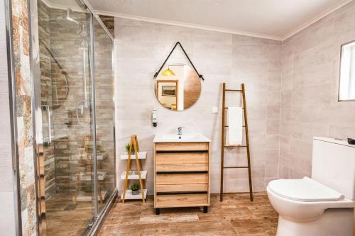 a bathroom with a shower and a sink and a mirror at Casa da Courela do Olival - Santo Aleixo