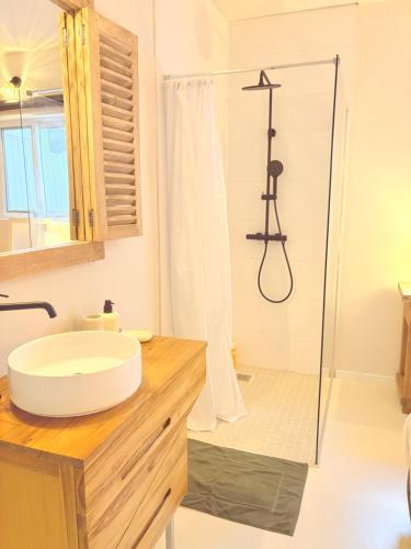 a bathroom with a sink and a shower at Le joyau de Pinel in Saint Martin