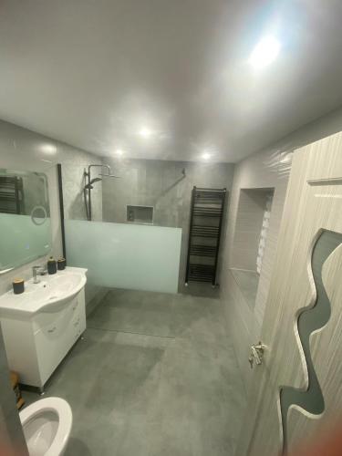 a bathroom with a sink and a toilet and a shower at Au refuge de David et Leah in Willer-sur-Thur