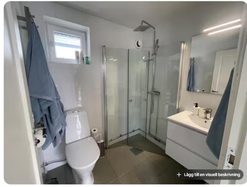 a bathroom with a toilet and a shower and a sink at Siam Homestay 2 in Mölndal