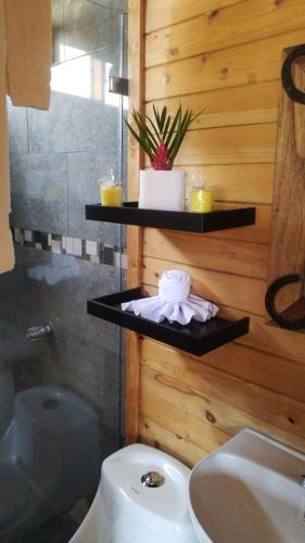 a bathroom with a toilet and a shower and a sink at Cabaña la Corteza in Tanque