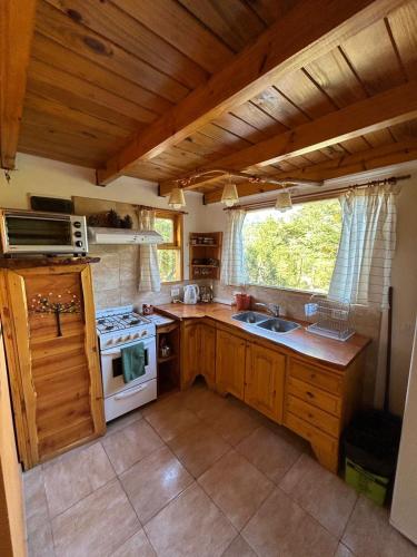 a small kitchen with a stove and a sink at Rincon de Ñires cabaña 4 in San Martín de los Andes