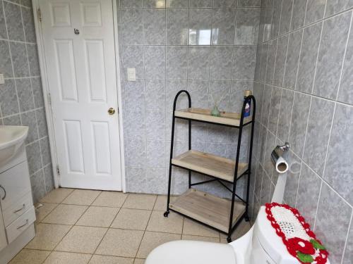 a bathroom with a toilet and a shelf in it at Cabaña Los Notros in Colonia Alerce