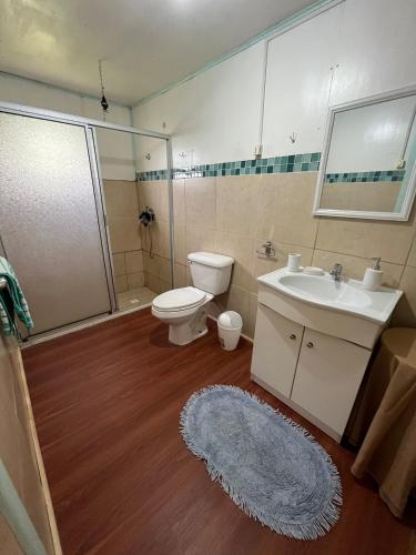 a bathroom with a toilet and a sink and a shower at Espaciosa casa familiar en Queule in Nehuin