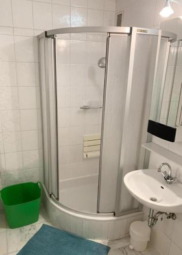 a bathroom with a shower and a sink at Schönes Apartment mit Pool&Sauna in Bingen am Rhein