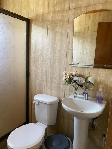 a bathroom with a toilet and a sink and a mirror at Cabañas Anny 2 in Linares