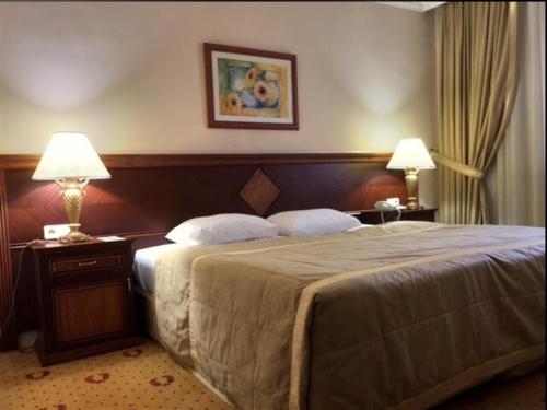 DOGA RESIDENCE HOTEL Ankara في أنقرة: غرفه فندقيه بسرير ومصباحين