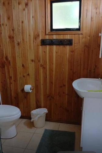 a bathroom with a toilet and a sink and a window at Casa cerca de lago Caburgua in Pucón