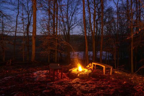 a fire pit in the middle of a forest at night at The Primrose in Logan