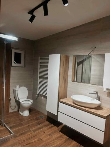 a bathroom with a toilet and a sink at Vila Davidoski in Mavrovo