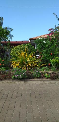 Jardí fora de Floh-Jo Tiny House
