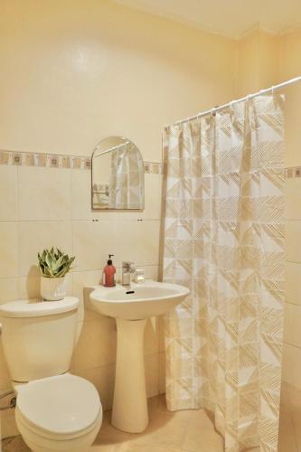 a bathroom with a toilet and a sink and a shower at Elaine's Homestay in Dumaguete