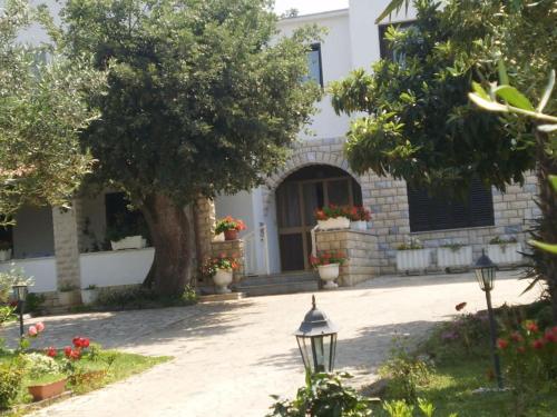 Licul Modern retreat