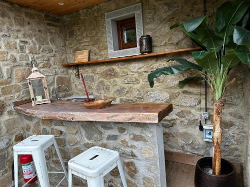 a stone bathroom with a counter and a plant at Villa Borgo Soale in Reggello