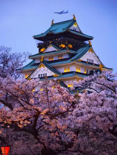 a japanese castle withakura trees in front of it at 大阪小林民宿開啟您的夢幻之旅 in Osaka