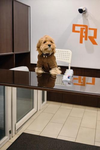 Prater Residence Aparthotel