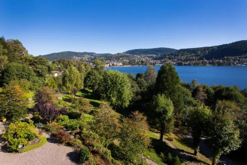 an aerial view of a park next to a lake at Le Manoir Au Lac in Gérardmer