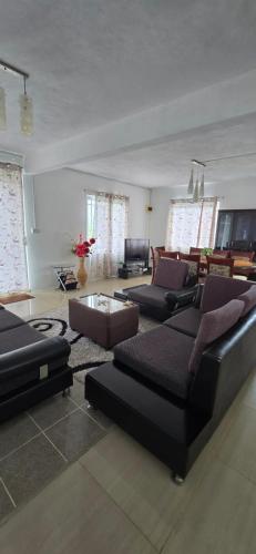 a living room with two couches and a table at Green Discovery B&B Tamarind Falls 7 Cascades in Henrietta