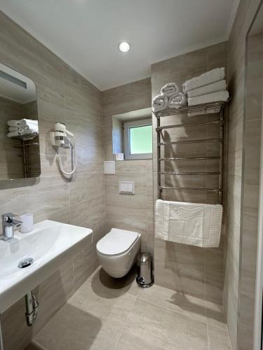 a bathroom with a toilet and a sink at Vila Panova in Borsec