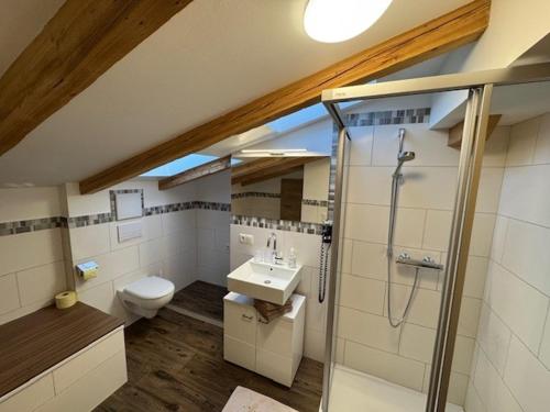 a bathroom with a shower and a sink and a toilet at Ferienwohnung Garber in Uderns