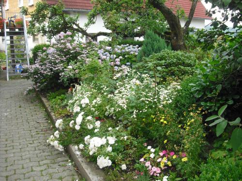 a garden with white and pink flowers on a sidewalk at Willekes Blütenhof in Madfeld