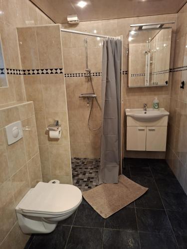 a bathroom with a toilet and a shower and a sink at Vakantiehuis met privetuin op rustig bospark Veluwe in Voorthuizen