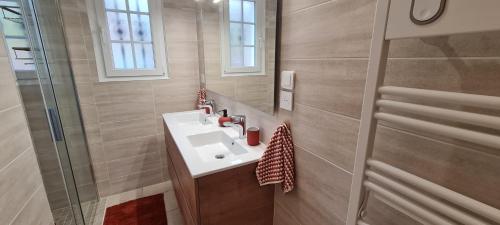 a bathroom with a sink and a shower at Gîte-La mare aux étoiles in La Douze