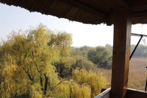 a view of a tree from a window at Wellness Apartments in Velence in Velence
