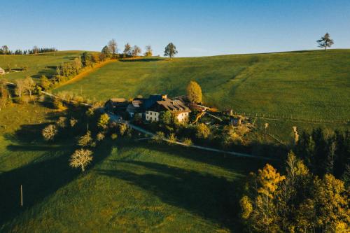 an aerial view of a house in the middle of a field at Ferienhof Schneiderweg in Laussa