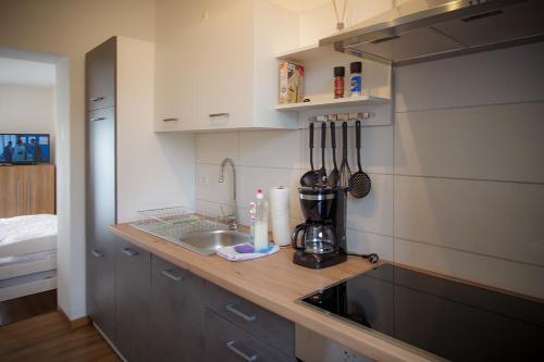a kitchen counter with a sink and a mixer at Ferienwohnungen Alte Molkerei in Kläden