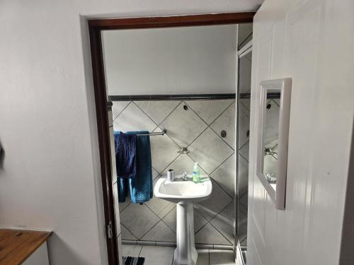 a bathroom with a sink and a shower at Driftwood Haven in Mossel Bay