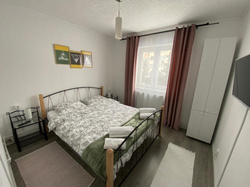 a bedroom with a bed and a window at Straja Nest in Lupeni