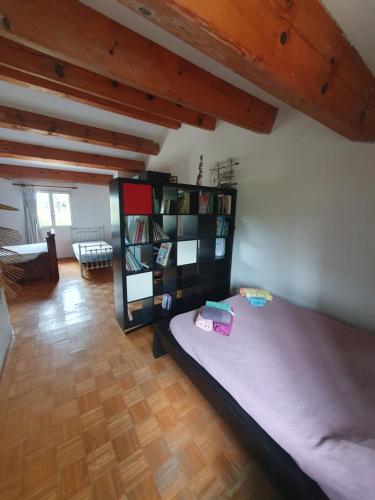 a bedroom with a bed and a book shelf at E case di u Puntale in Ghisonaccia