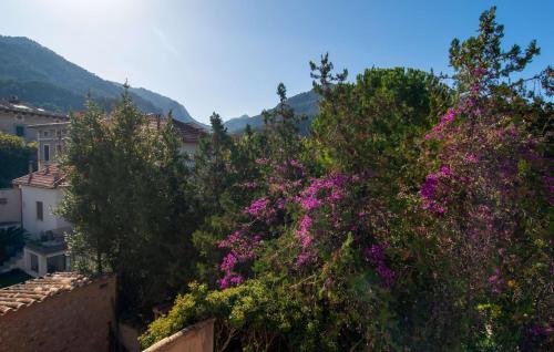 a group of trees with pink flowers in a city at C'as Pobres in Sóller